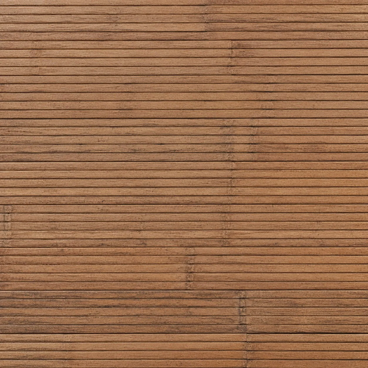 TERRA doku